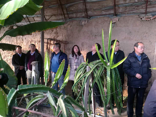 塞上江南河套腹地巴彥淖爾將冉起國家農高區