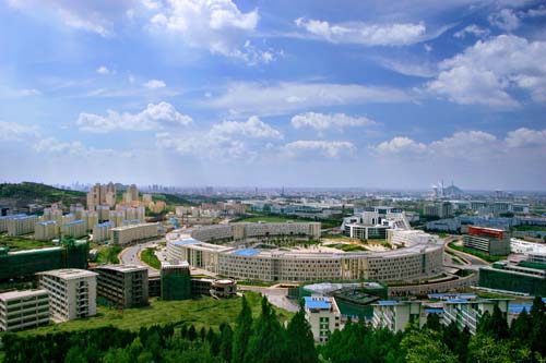 綿陽市構建“四個一”產業鏈招商機制 推動新型顯示產業集聚集群發展