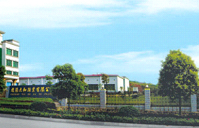 桂陽工業園產業發展規劃案例