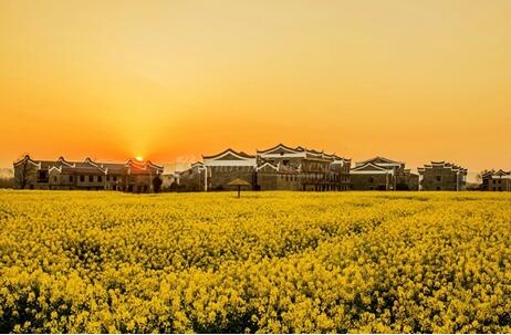 安仁縣中草藥產業園產業發展規劃案例