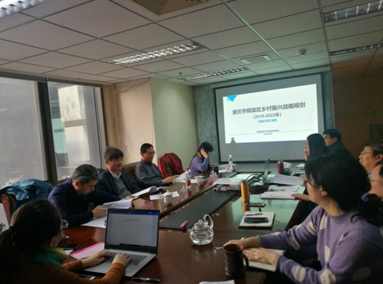 問診專家,繪制龍鄉銅梁鄉村振興新藍圖