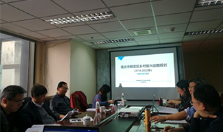 問診專家，繪制龍鄉(xiāng)銅梁鄉(xiāng)村振興新藍圖