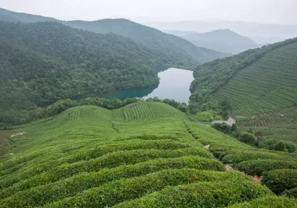 世界生態農業優秀案例