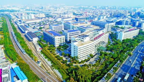 廈門火炬高新區：人工智能從“多枝繁茂”到“規?；R放”