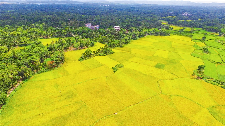 美國(guó)大農(nóng)場(chǎng)、以色列滴灌、德國(guó)高科技……農(nóng)業(yè)大國(guó)哪家強(qiáng)？