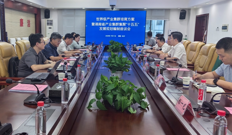 敢為人先促改革 匯智聚力建集群 —— 我院赴湖南工信廳匯報湖南省產業集群集聚 “十五五” 發展規劃思路框架